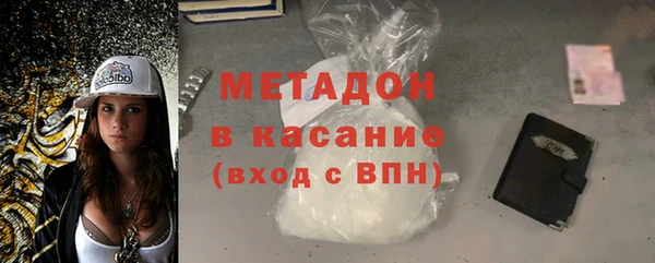 сатива Новозыбков