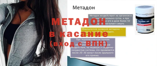 сатива Новозыбков