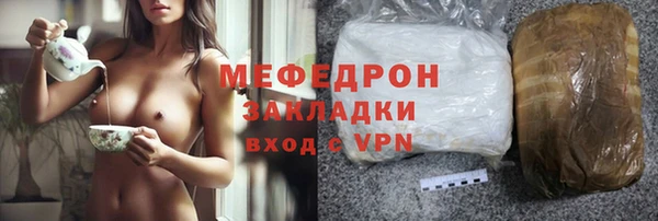 сатива Новозыбков