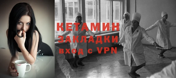 сатива Новозыбков