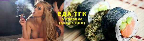 сатива Новозыбков