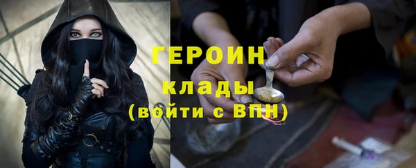 сатива Новозыбков