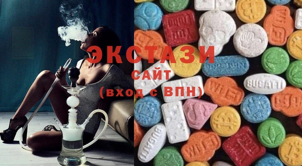 сатива Новозыбков