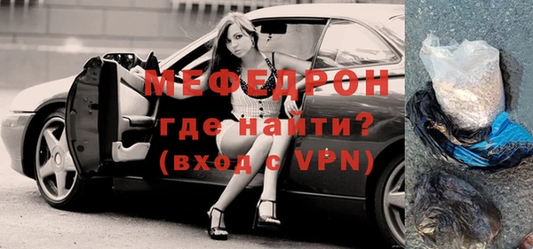 сатива Новозыбков