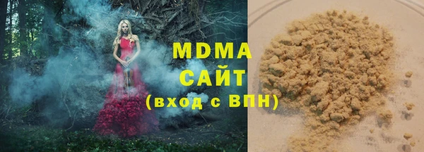 сатива Новозыбков