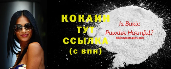 сатива Новозыбков