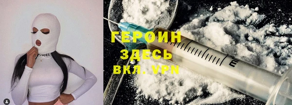 сатива Новозыбков