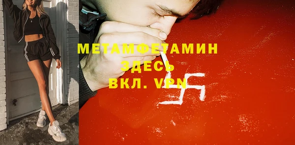 сатива Новозыбков