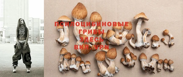 кокаин Новодвинск