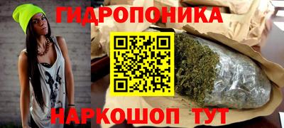 метадон Гусев