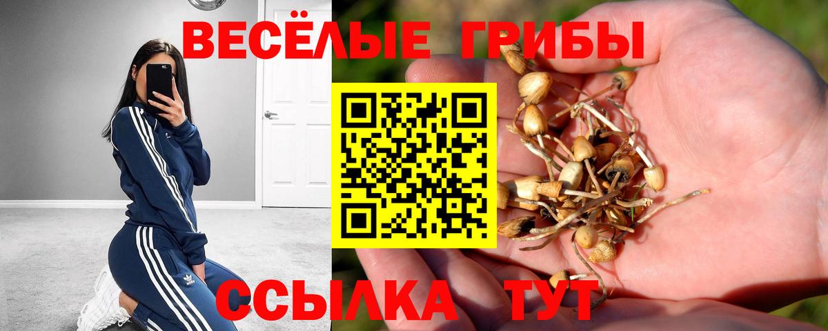 Псилоцибиновые грибы Psilocybine cubensis  Вход с VPN  Галлюциногенные грибы MAGIC MUSHROOMS  Салават 