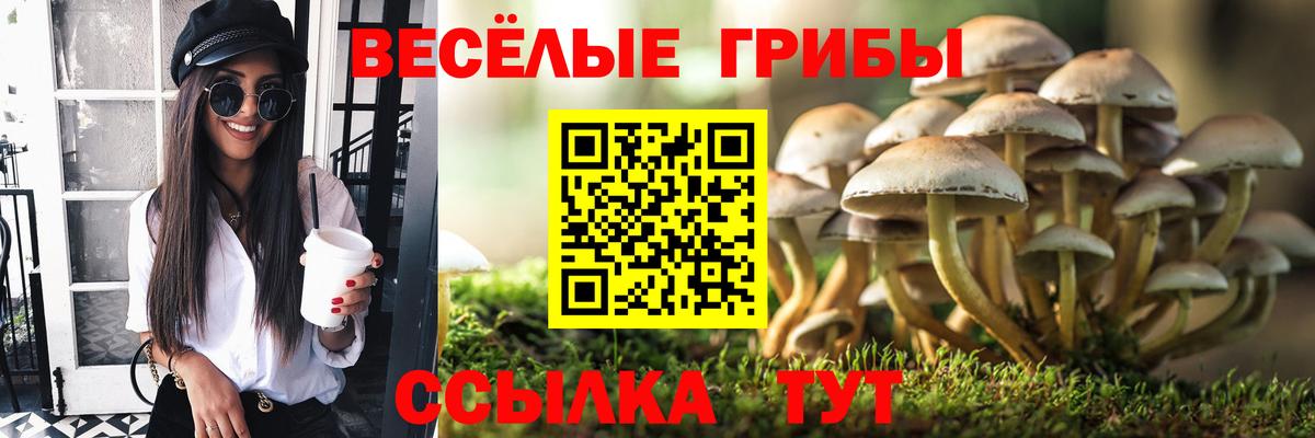 Псилоцибиновые грибы ЛСД Салават